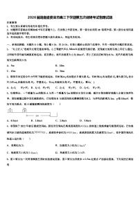 2026届湖南省娄底市高三下学期第五次调研考试物理试题含解析