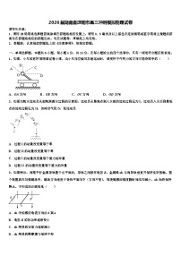 2026届湖南省浏阳市高三冲刺模拟物理试卷含解析