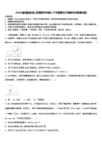 2026届湖南省洞口县第四中学高三下学期第五次调研考试物理试题含解析