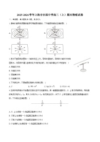 2025-2026学年上海市市西中学高二（上）期末物理试卷（含答案+解析）