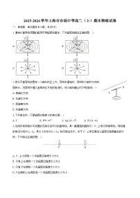 2025-2026学年上海市市西中学高二(上)期末物理试卷(含答案+解析)