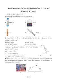 2025-2026学年黑龙江省哈尔滨市德强高级中学高三（上）期末物理模拟（Ⅱ卷）试卷（含答案）