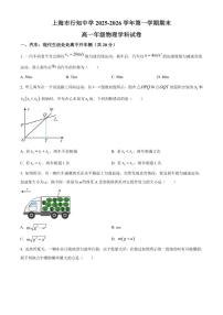 2025-2026学年上海市行知中学高一上学期1月期末物理试题（含答案）