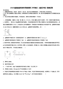2026届湖南省株洲市茶陵县第二中学高三(最后冲刺)物理试卷含解析