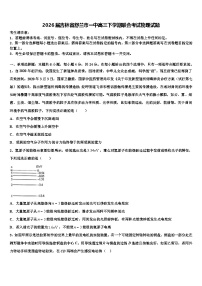 2026届吉林省舒兰市一中高三下学期联合考试物理试题含解析