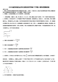 2026届吉林省白山市长白县实验中学高三下学期一模考试物理试题含解析