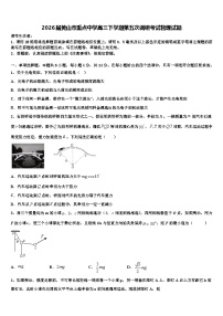 2026届黄山市重点中学高三下学期第五次调研考试物理试题含解析