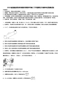 2026届湖南省株洲市醴陵市第四中学高三下学期第五次调研考试物理试题含解析
