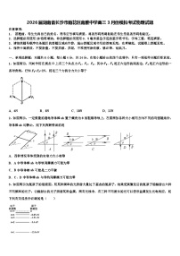 2026届湖南省长沙市雨花区南雅中学高三3月份模拟考试物理试题含解析