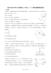 2025-2026学年山东省泰安二中高三(上)期末物理模拟试卷(含解析)