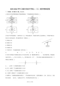 2025-2026学年上海市市西中学高二(上)期末物理试卷(含答案)