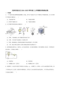 天津市部分区2025届高三上学期1月期末考试物理试卷（含答案）