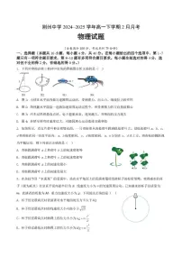湖北省荆州中学2024-2025学年高一下学期2月月考物理试卷（无答案）