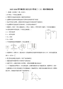2025-2026学年黑龙江省大庆中学高二（上）期末物理试卷（含答案）
