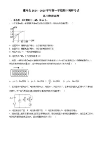 江苏省连云港市灌南县2024-2025学年高二上学期11月期中考试物理试卷（无答案）