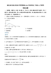 湖北省市级示范高中智学联盟2024-2025学年高二上学期12月联考物理试题 Word版含解析
