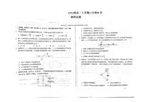 安徽省A10联盟2024-2025学年高二上学期11月期中考物理试题（含答案）