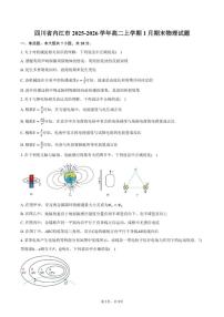 2025-2026学年四川省内江市高二上学期1月期末物理试卷（含答案）