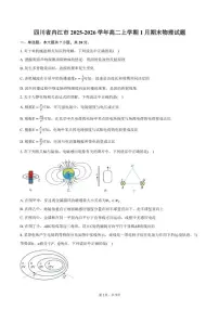 2025-2026学年四川省内江市高二上学期1月期末物理试卷（含答案）