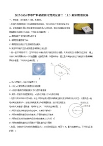 2025-2026学年广东省深圳市龙岗区高三（上）期末物理试卷（含答案）