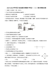 2025-2026学年四川省成都市树德中学高二（上）期末物理试卷（含答案）