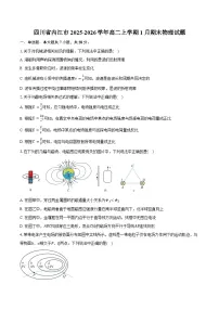 四川省内江市2025-2026学年高二上学期1月期末物理试卷（含答案）