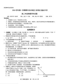浙江省杭州地区(含周边)重点中学2024-2025学年高二上学期11月期中物理试卷（含答案）