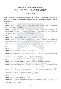 山东省天一大联考齐鲁名校教研体2024-2025学年高三年级下学期第五次联考物理试卷（含答案）