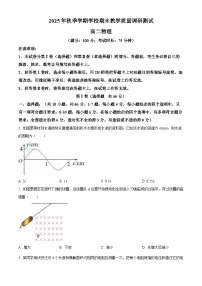 广西壮族自治区百色市2025-2026学年高二上学期期末物理试题（试卷+解析）