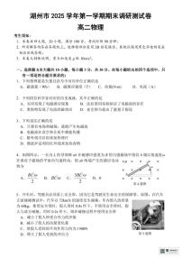 浙江湖州市2025学年第一学期期末调研测试高二物理试卷