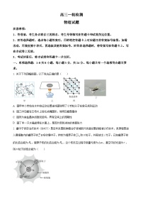 2026届山东泰安市高三上学期一模考试物理(高考模拟)（试卷+解析）