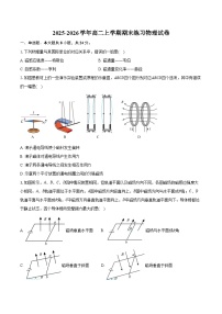 2025-2026学年高二上学期期末练习物理试卷（含答案）