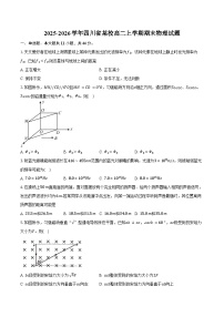 2025-2026学年四川省某校高二上学期期末物理试卷（含答案）