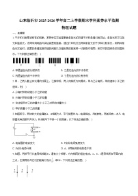 山东临沂市2025-2026学年高二上学期期末学科素养水平监测物理试卷（含答案）