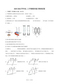 2025-2026学年高二上学期期末练习物理试卷（含答案）