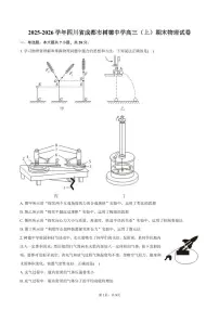2025-2026学年四川省成都市树德中学高三（上）期末物理试卷（含答案）