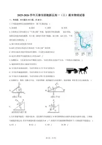 2025-2026学年天津市滨海新区高一（上）期末物理试卷（含答案）