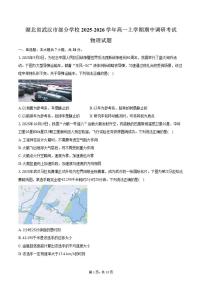 湖北省武汉市部分学校2025-2026学年高一上学期期中调研考试物理试卷（含解析）