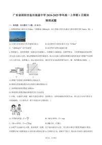 广东省深圳市盐田高级中学2024-2025学年高一上学期1月期末物理试题（含答案）