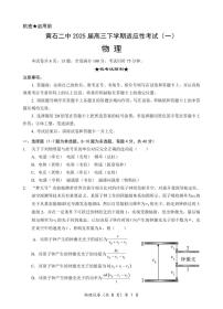 湖北省黄石二中 2025 届高三下学期适应性考试（一）物理试卷（含答案）