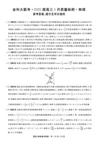 河南省2024-2025学年高三下学期金科新未来5月联考物理试卷（含答案）