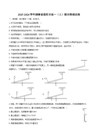 2025-2026学年湖南省岳阳市高一（上）期末物理试卷（含答案）