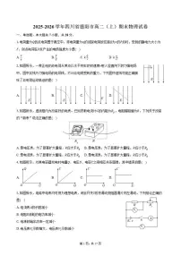 2025-2026学年四川省德阳市高二(上)期末物理试卷(含解析)