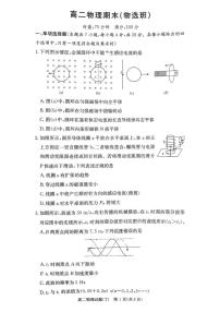 湖南师范大学附属中学2025-2026学年高二上学期1月期末物理试卷（PDF版，含解析）