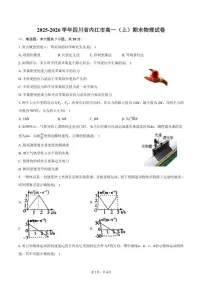 2025-2026学年四川省内江市高一（上）期末物理试卷（含答案）