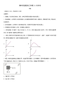2025-2026学年广西壮族自治区柳州市高二上学期11月期中物理试卷（学生版）