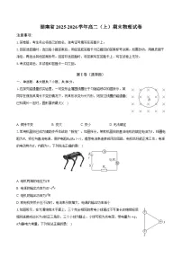 湖南省2025-2026学年高二(上)期末物理试卷