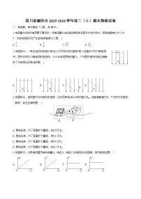 四川省德阳市2025-2026学年高二(上)期末物理试卷