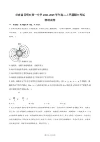 2024-2025学年云南省昆明市第一中学高二上学期期末考试物理(含答案)试卷