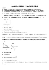 2026届吉林省长春市实验中学高考物理倒计时模拟卷含解析